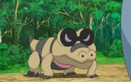 Sandile prefers arid areas like deserts (Image via The Pokemon Company)